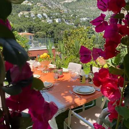 Eleasonya With Suberb Seaview * Skopelos